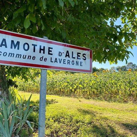 Gite Confort A Lamothe D Ales Lavergne  Exteriér fotografie